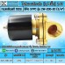 โซลินอยด์วาล์ว 24V (6หุน) รุ่น 2W-200-20 (3/4”) SOLENOID VALVE